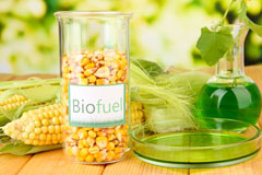 Forthay biofuel availability